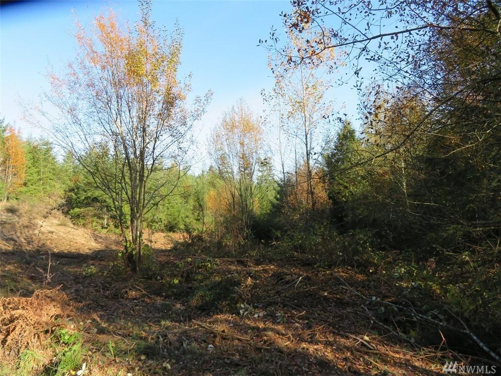 991 Moose Hill Ct - Photo 1