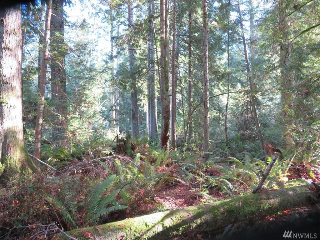 0-Lot 1 Yeshua Lane - Photo 1