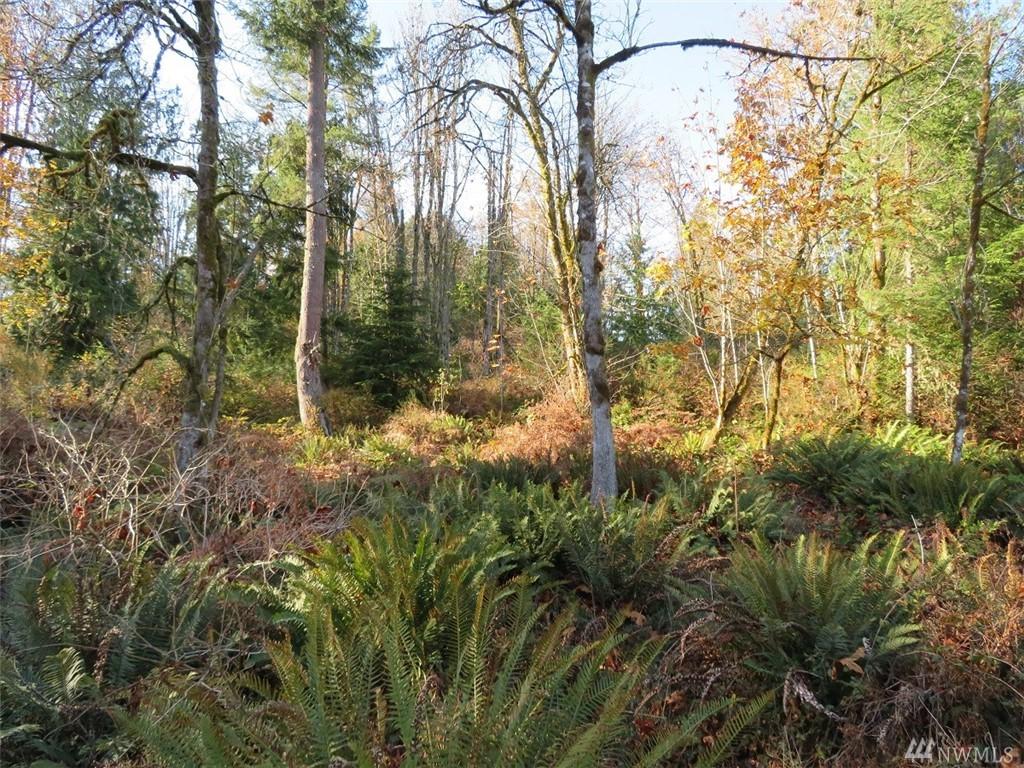 0-Lot 2 Yeshua Lane - Photo 1