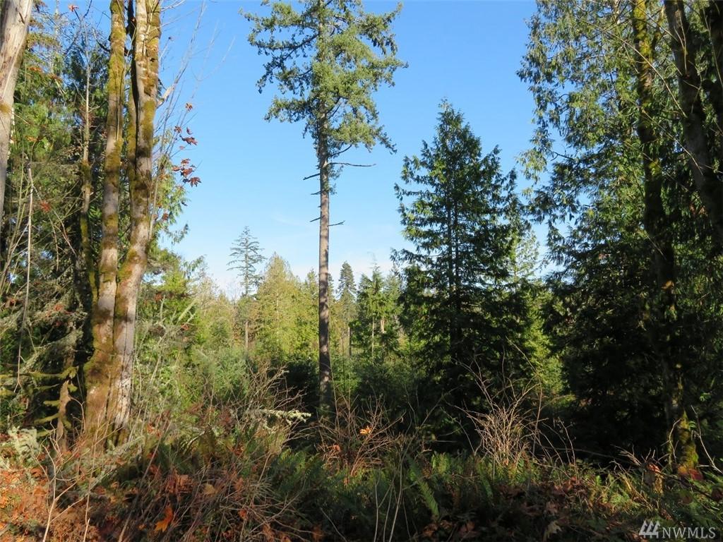 0-Lot 5 Yeshua Lane - Photo 1