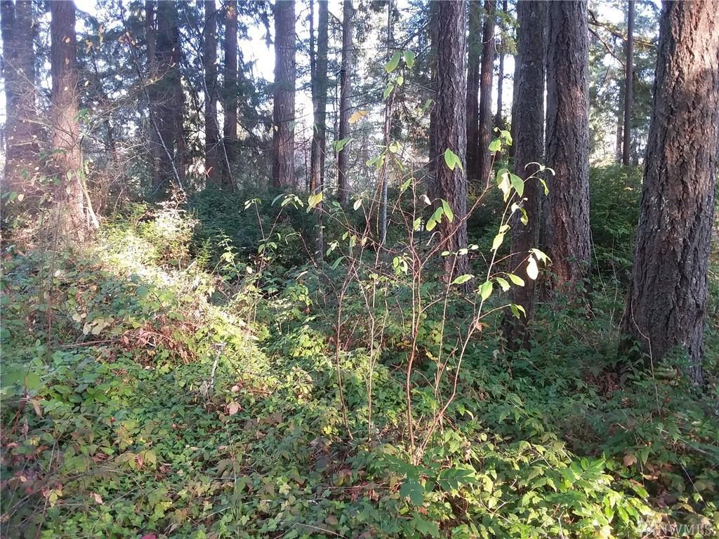61 Bayshore Dr - Photo 1