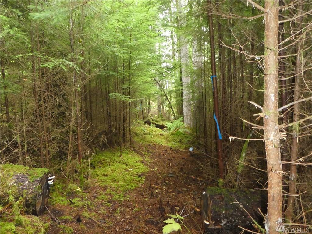 9999 Burnt Mountain Rd - Photo 1