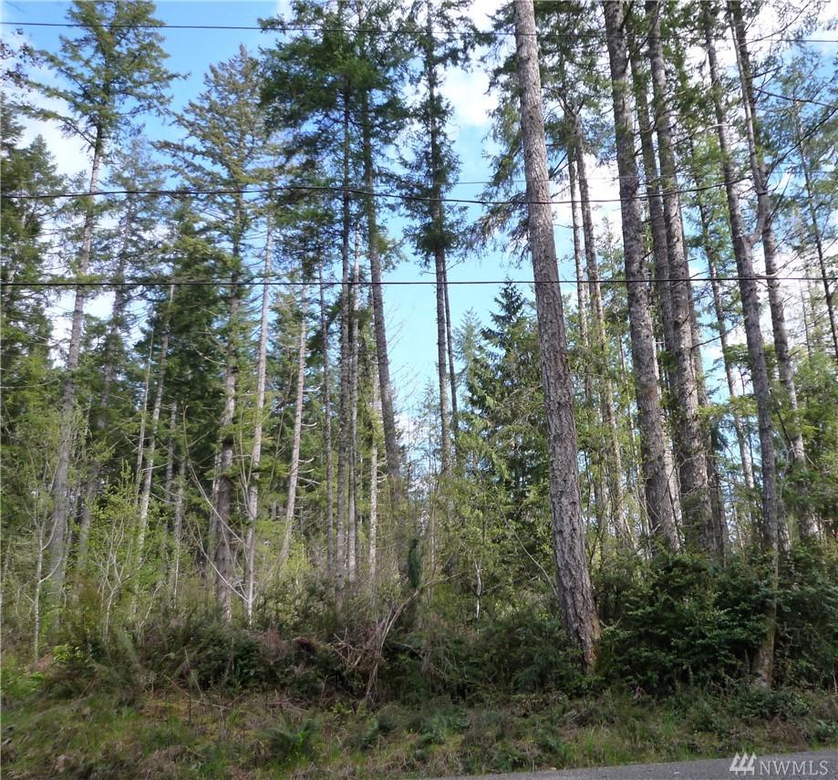 0 Phillips Lake Loop Rd - Photo 1