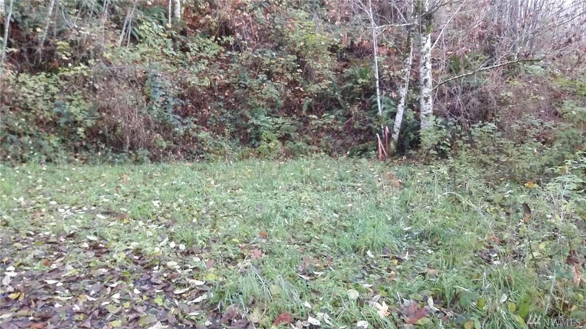 195--XXX Lakeview Dr - Photo 1