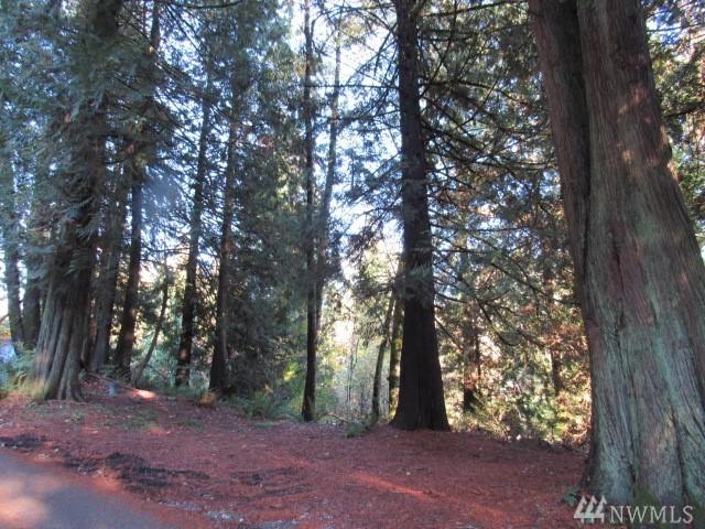 7-XX Fernhaven Lane - Photo 1