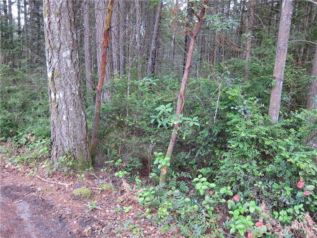 231 Lakeland Dr - Photo 1