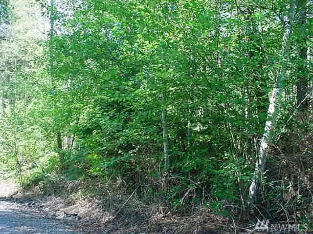 17034-XXX 140th St - Photo 1