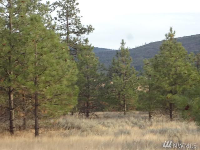 111 Cougar Canyon Rd - Photo 1