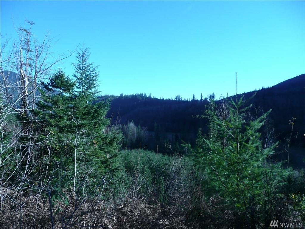 0 Dosewallips Rd - Photo 1