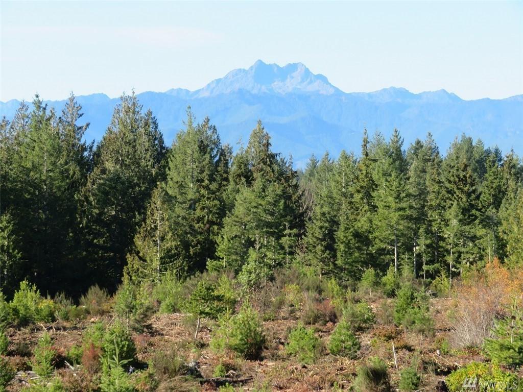 0-Lot 1 Wayne Rd - Photo 1