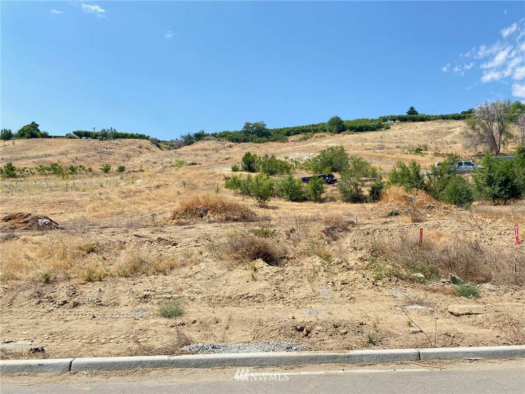 1014 Spring Mountain Drive - Photo 1