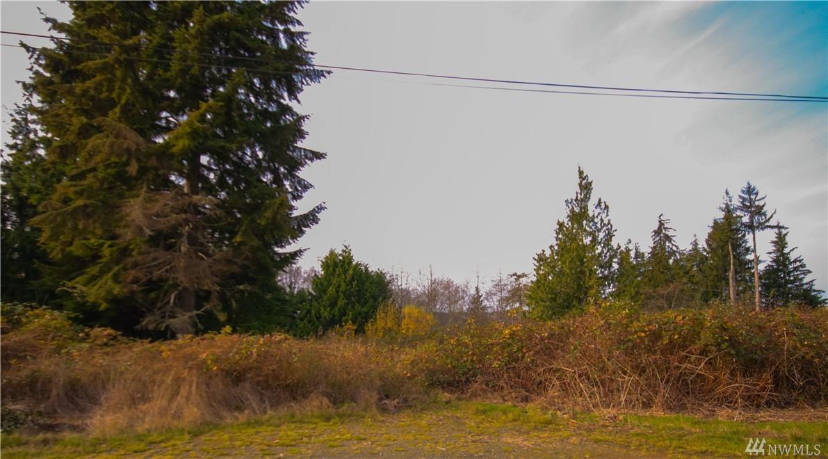 0-XXX Pioneer Blvd - Photo 1