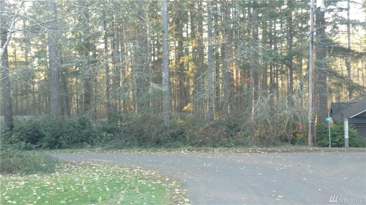 14124 Holly Burn Lane Lane - Photo 1