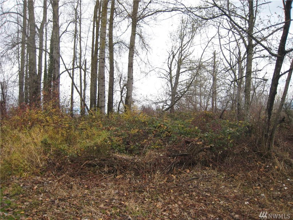 0-XX 1st St - Photo 1