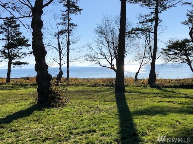 2226 Seabright Loop - Photo 1