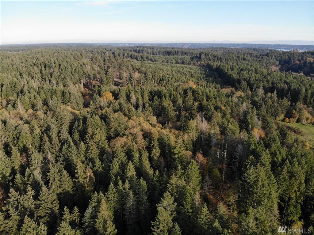 10313 Wright Bliss Rd - Photo 1