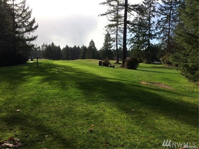 141 Hofaker Rd - Photo 1