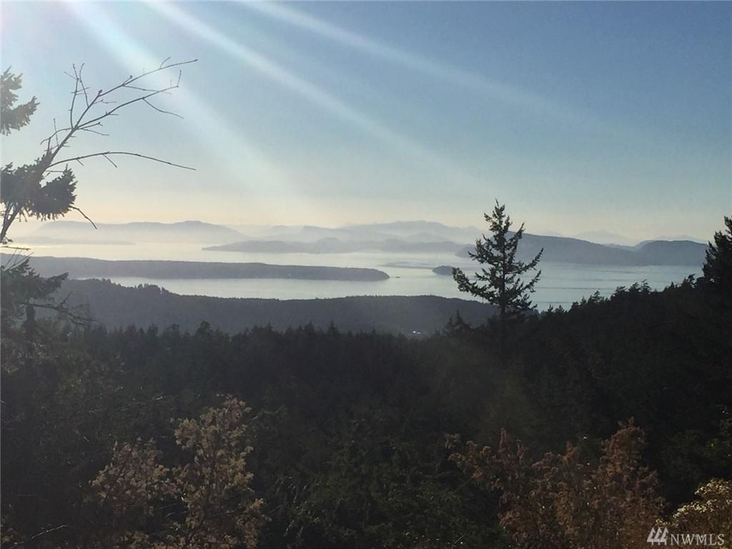 3140 Buck Mountain-Lot 96 - Photo 1
