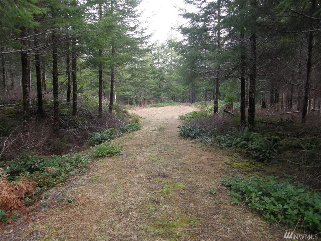70 Arrowhead Lane - Photo 1