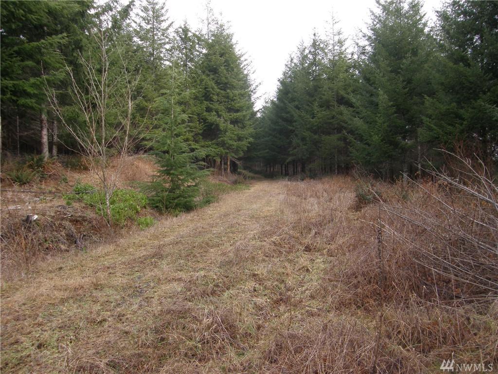 120 Arrowhead Lane - Photo 1