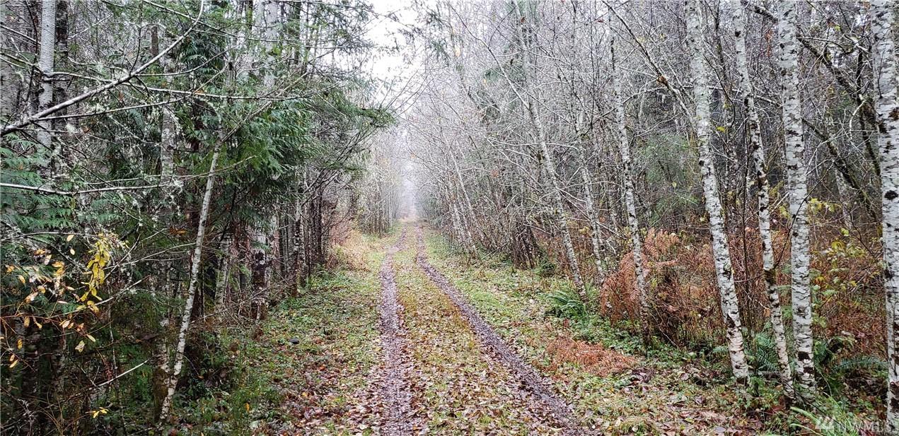 0 Agate Rd - Photo 1