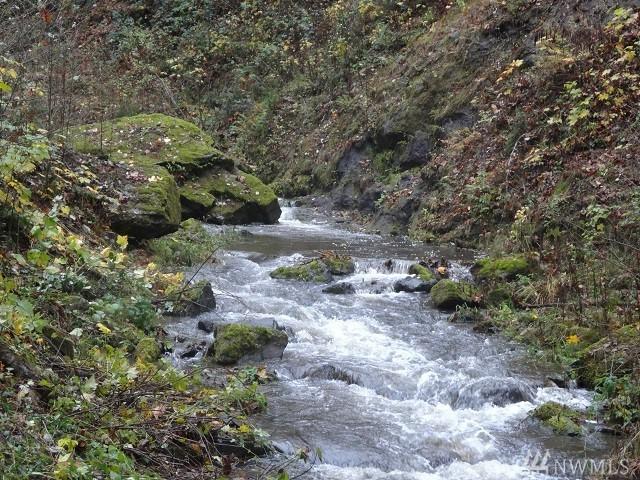 6850 Kalama River Rd - Photo 1