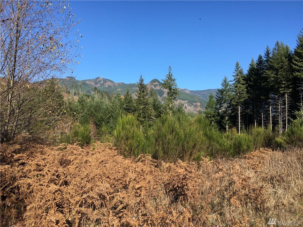 0-xxx Cropsey Dr - Photo 1