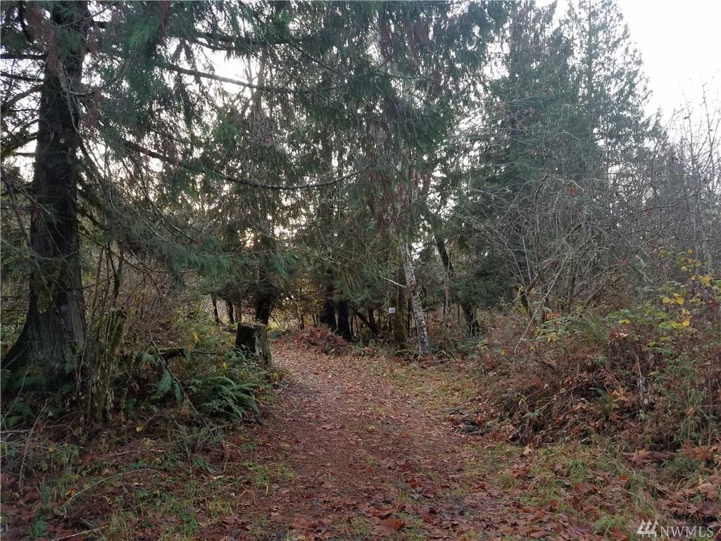 7-D Cockscomb Lane - Photo 1