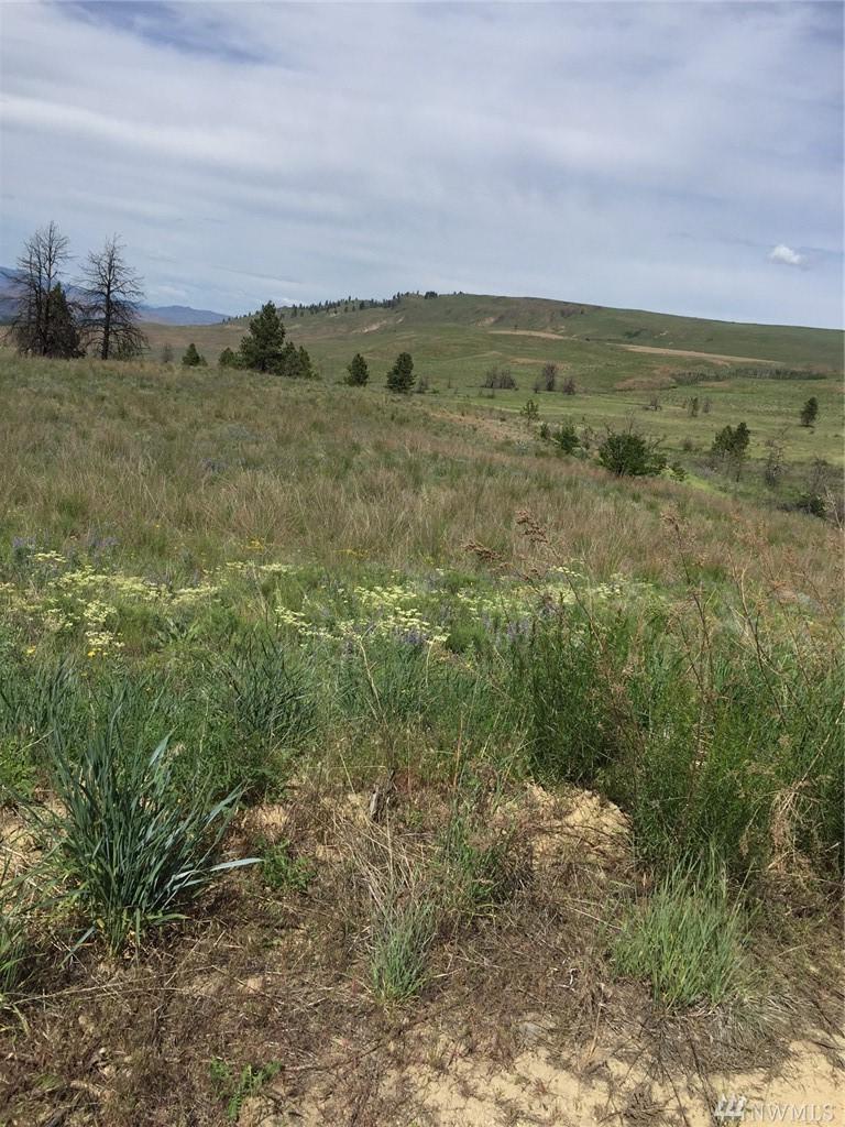 0 Central Ferry Canyon Rd - Photo 1