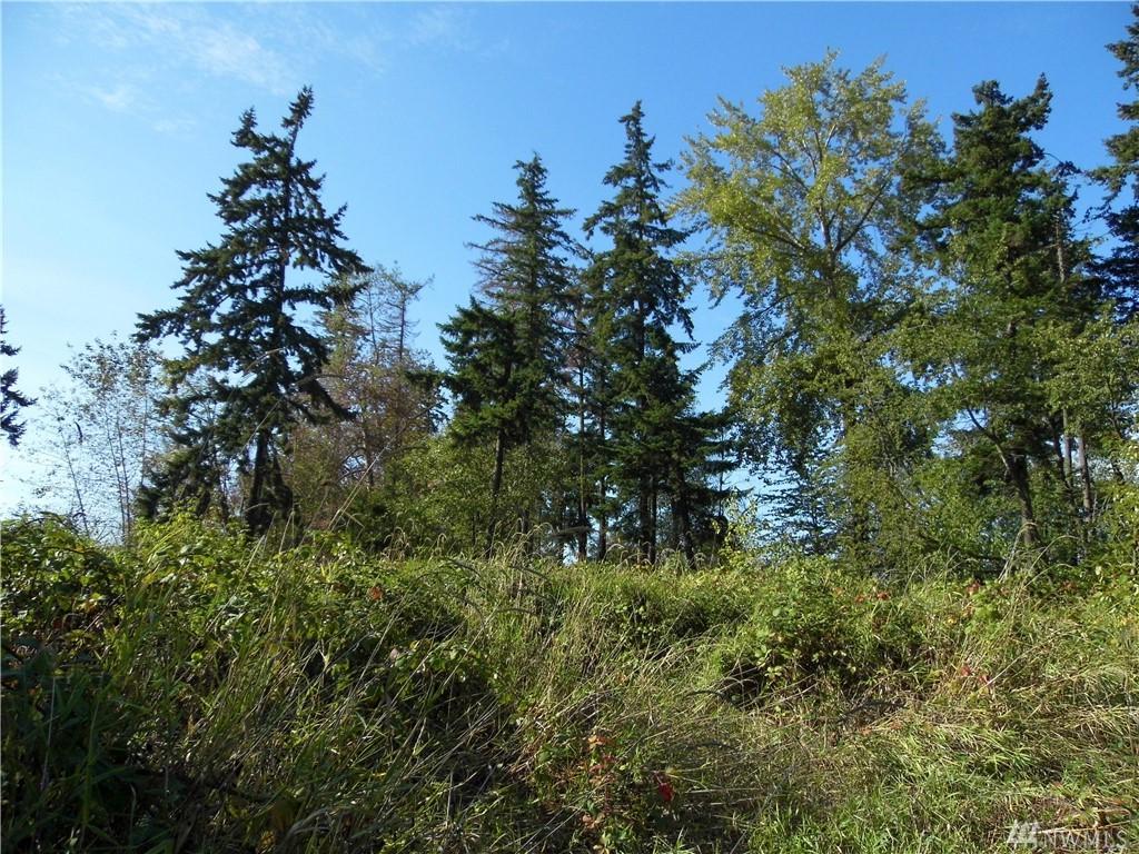 10628 24th Av Ct - Photo 1