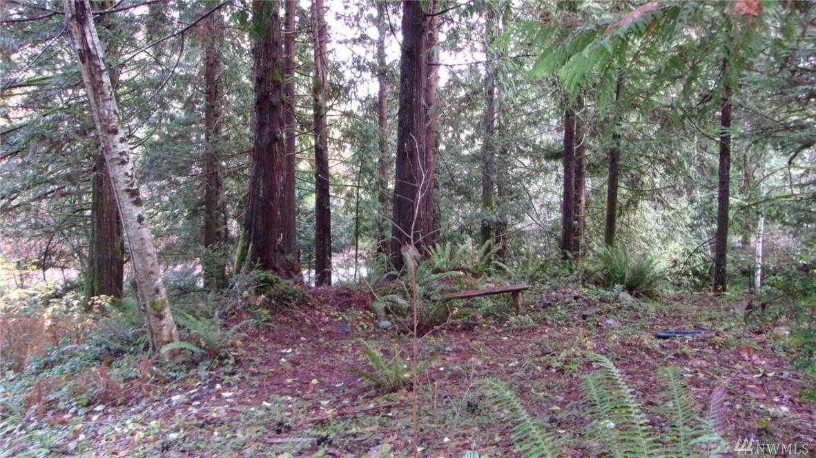 0 Olympic Trails Dr - Photo 1