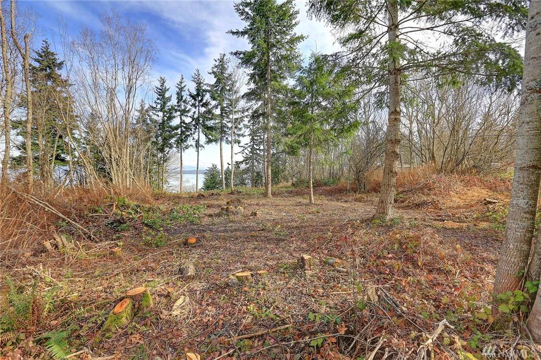 0 Cascade View Dr - Photo 1
