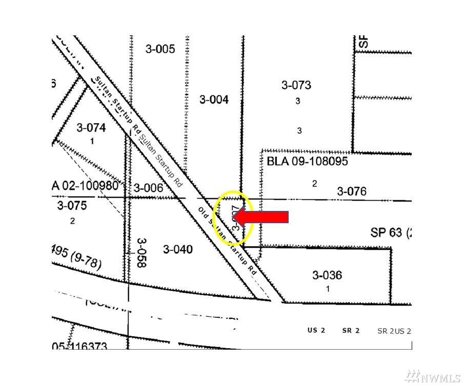 35917 Sultan Startup Rd - Photo 1
