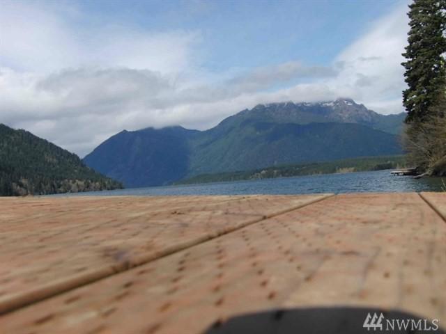0 Lake Cushman Rd - Photo 1