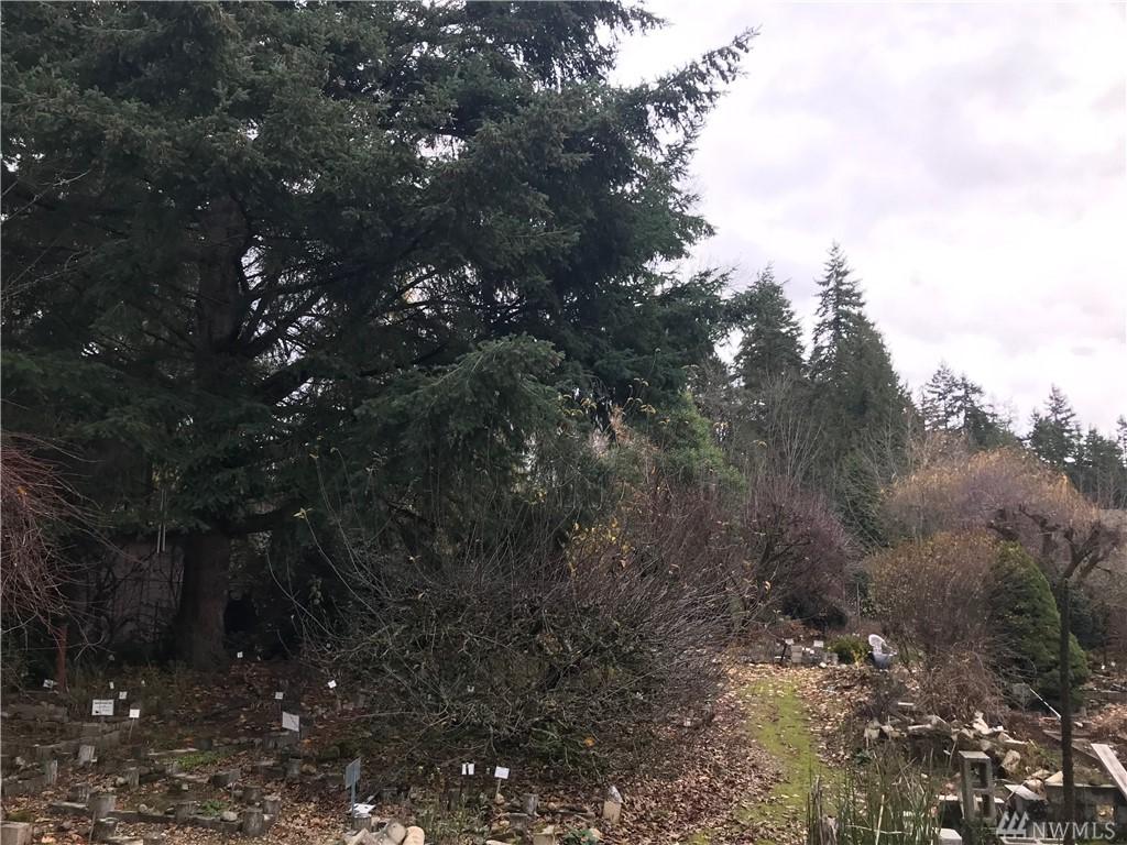 9724 132nd Ave - Photo 1