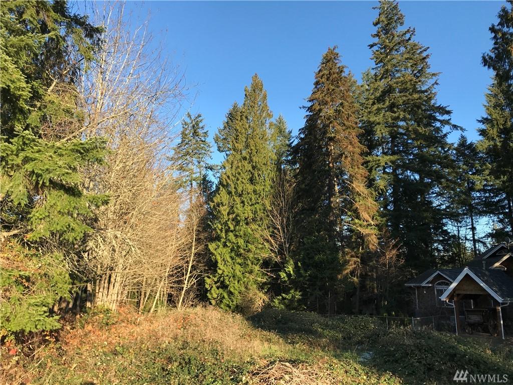 33400 Lake Holm Dr - Photo 1