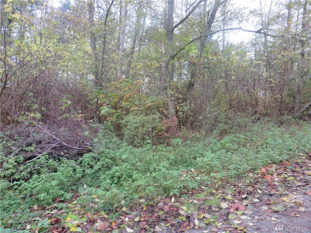 76 B Whidbey Island Dr - Photo 1