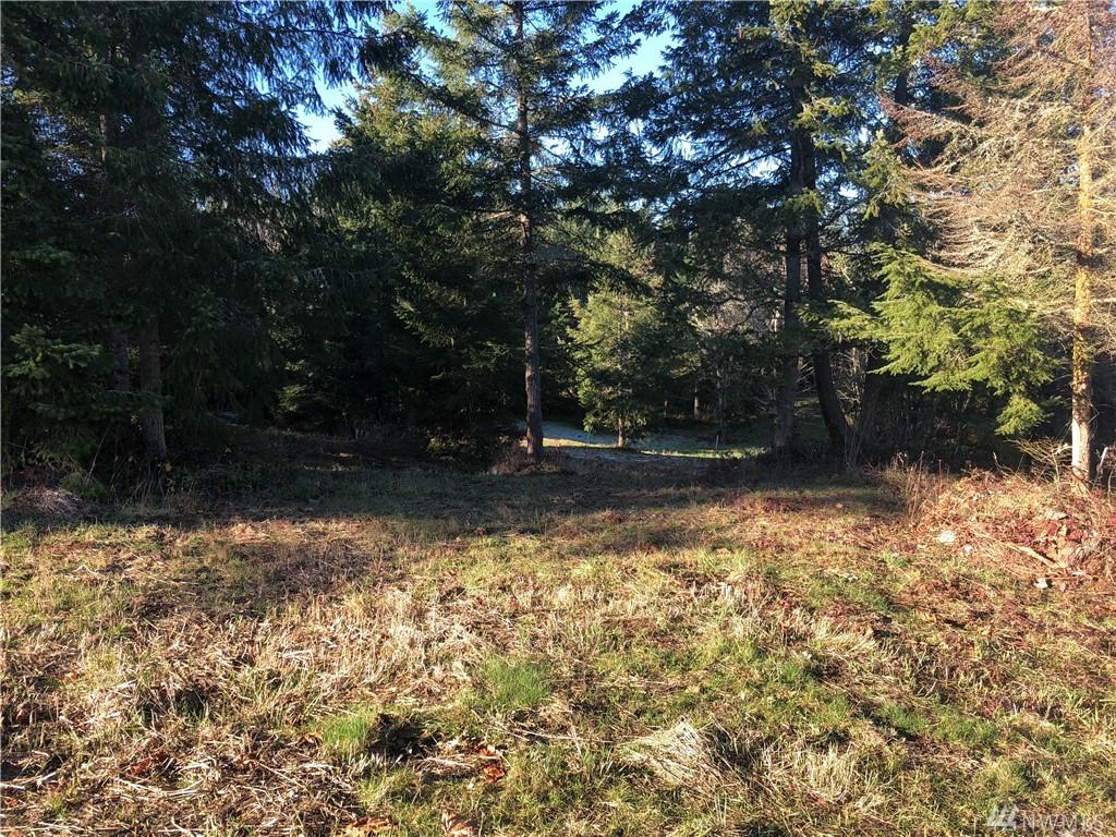 0 Shauna Place - Photo 1