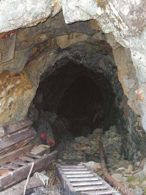 0-xxx Boundary Red Mountain Mine - Photo 1