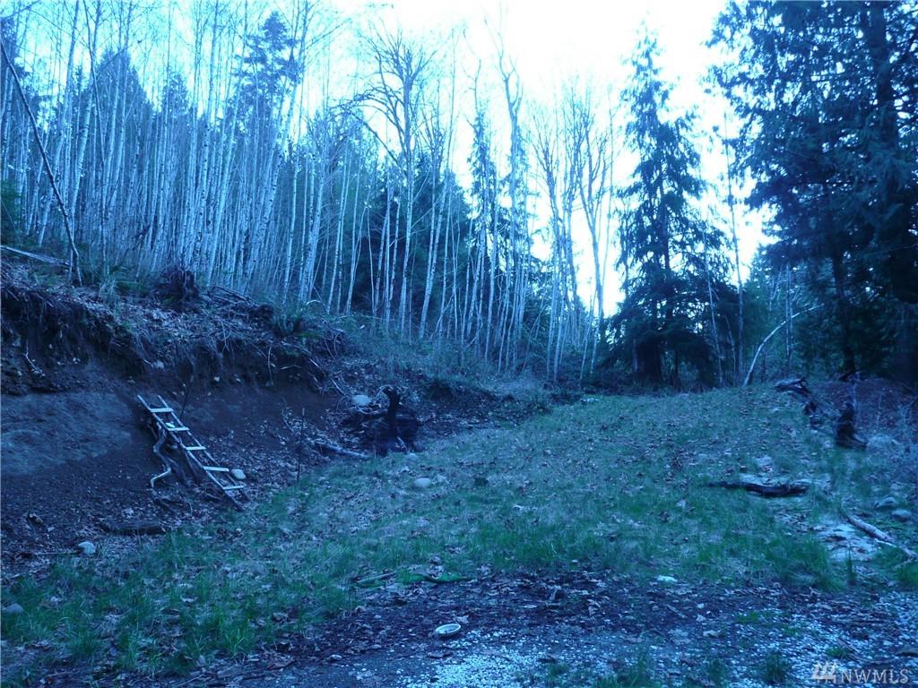 271 Elk Rd - Photo 1