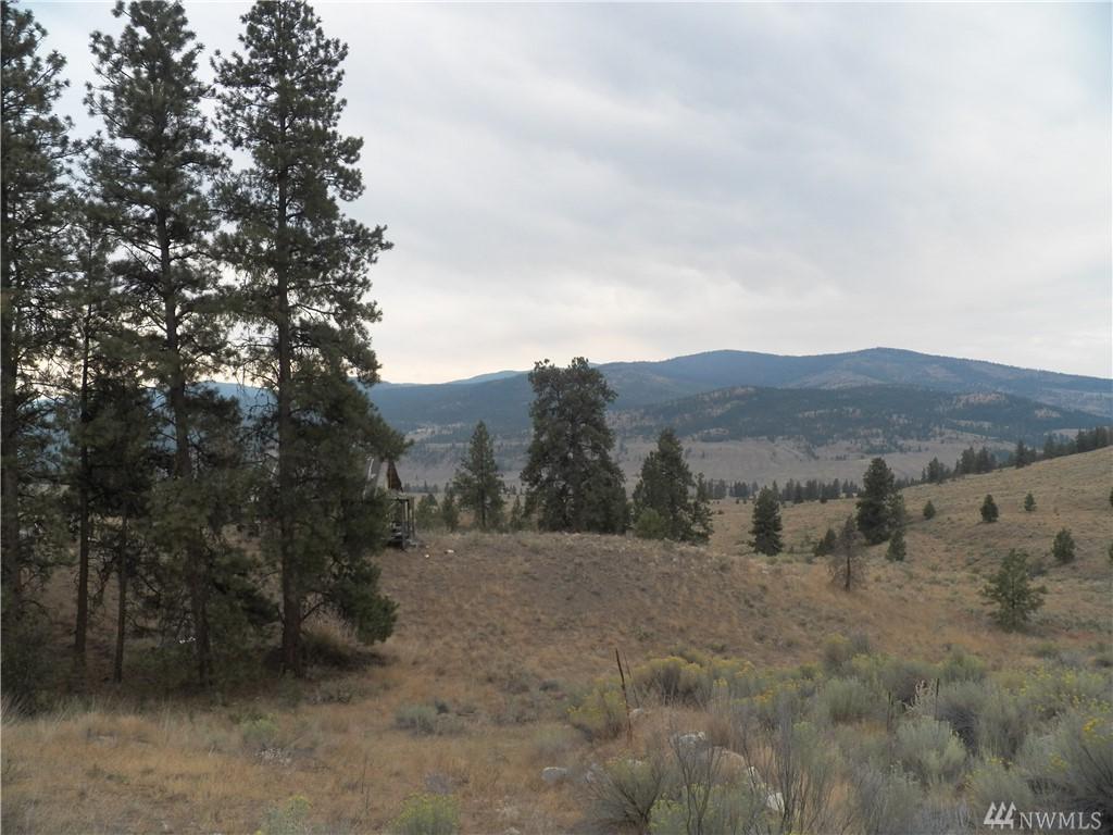 0-tbd Cayuse Mountain Rd - Photo 1