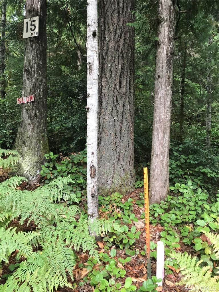 6200 Gross Rd - Photo 1