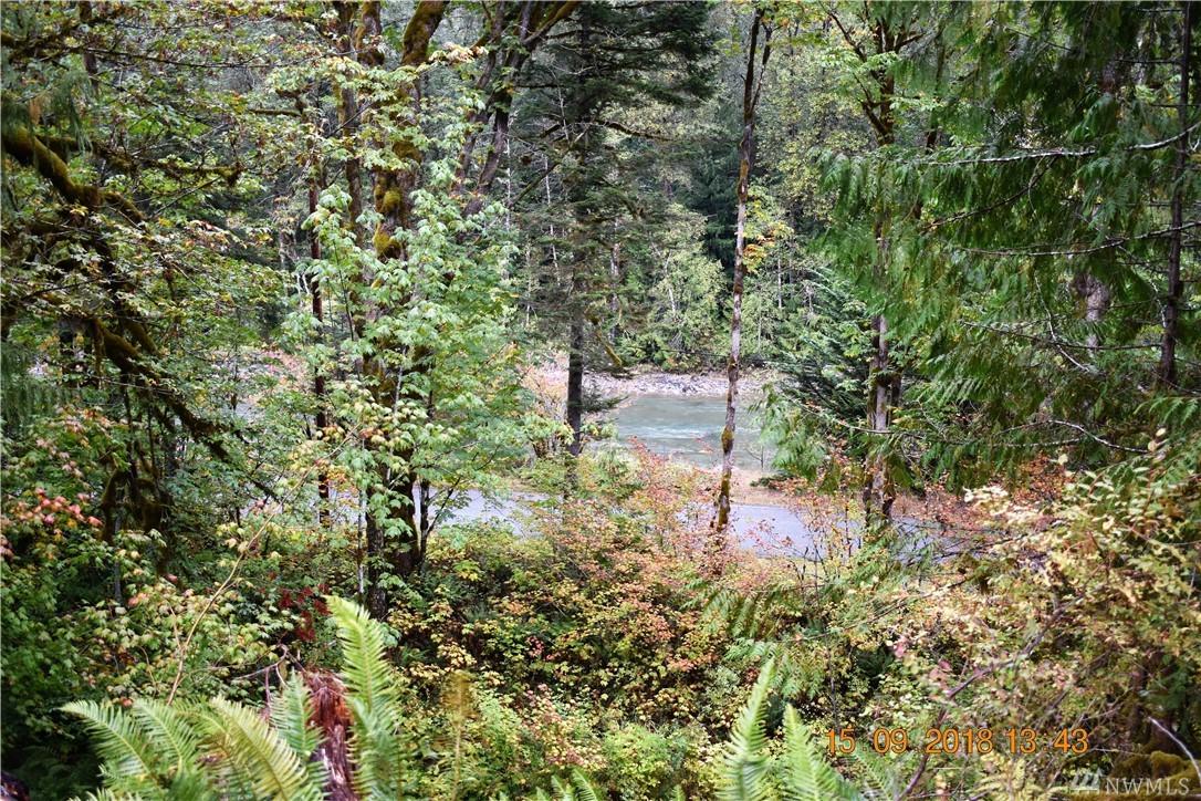 0 Mountain Loop Hwy - Photo 1