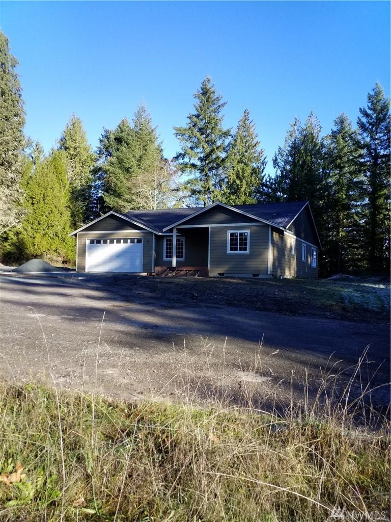 41733 Mountain Highway - Photo 1