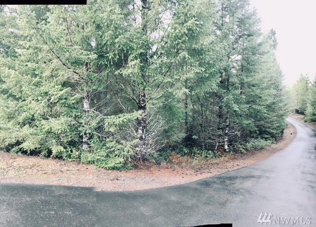 0 Hamma Ridge Dr - Photo 1