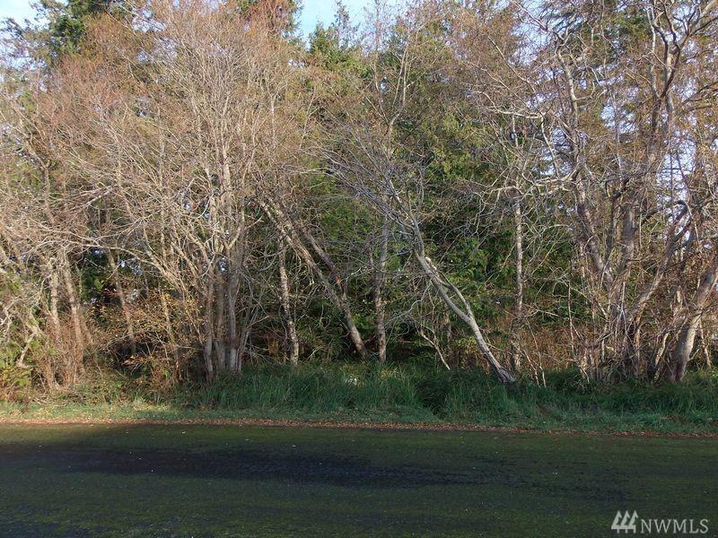 9999 Mussel Beach Rd - Photo 1