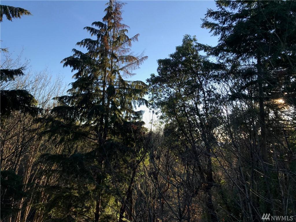 47-XX 86th Ave - Photo 1
