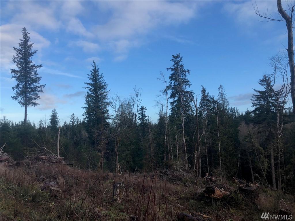 40-XX Nickelbush Rd - Photo 1