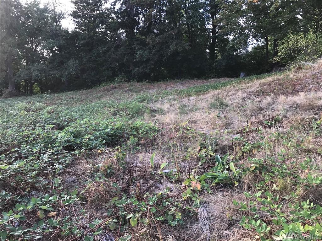21915 99th Place - Photo 1