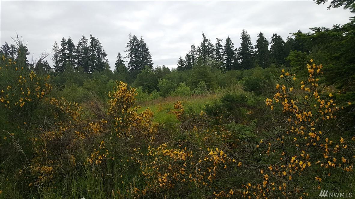 14910 Case Rd - Photo 1